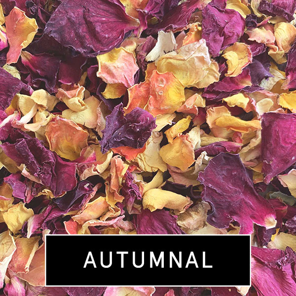 autumnal1