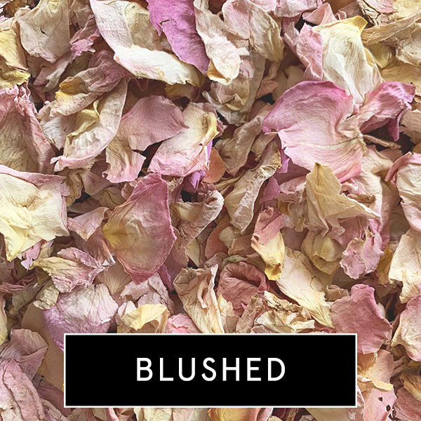 blushed2