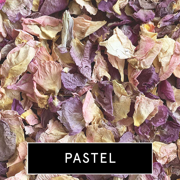 pastel2
