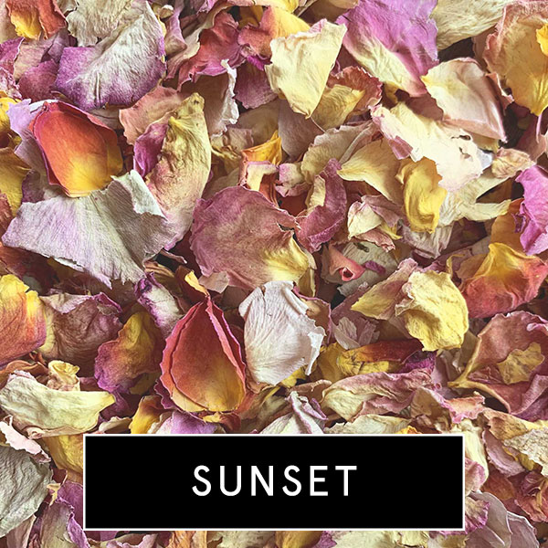 sunset2