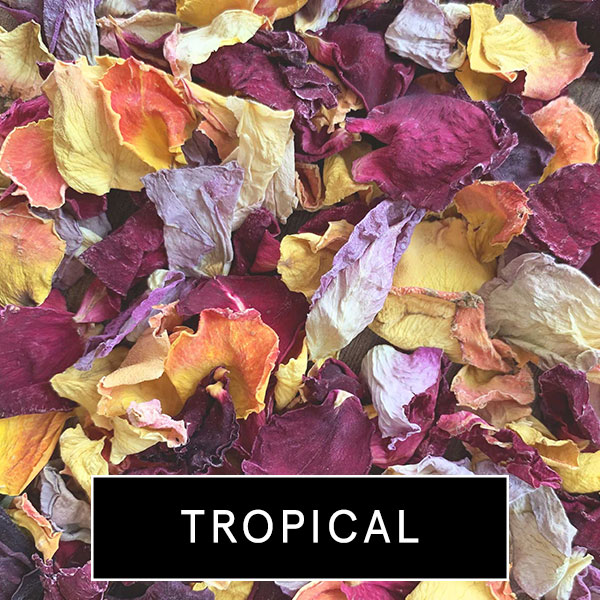 tropical2